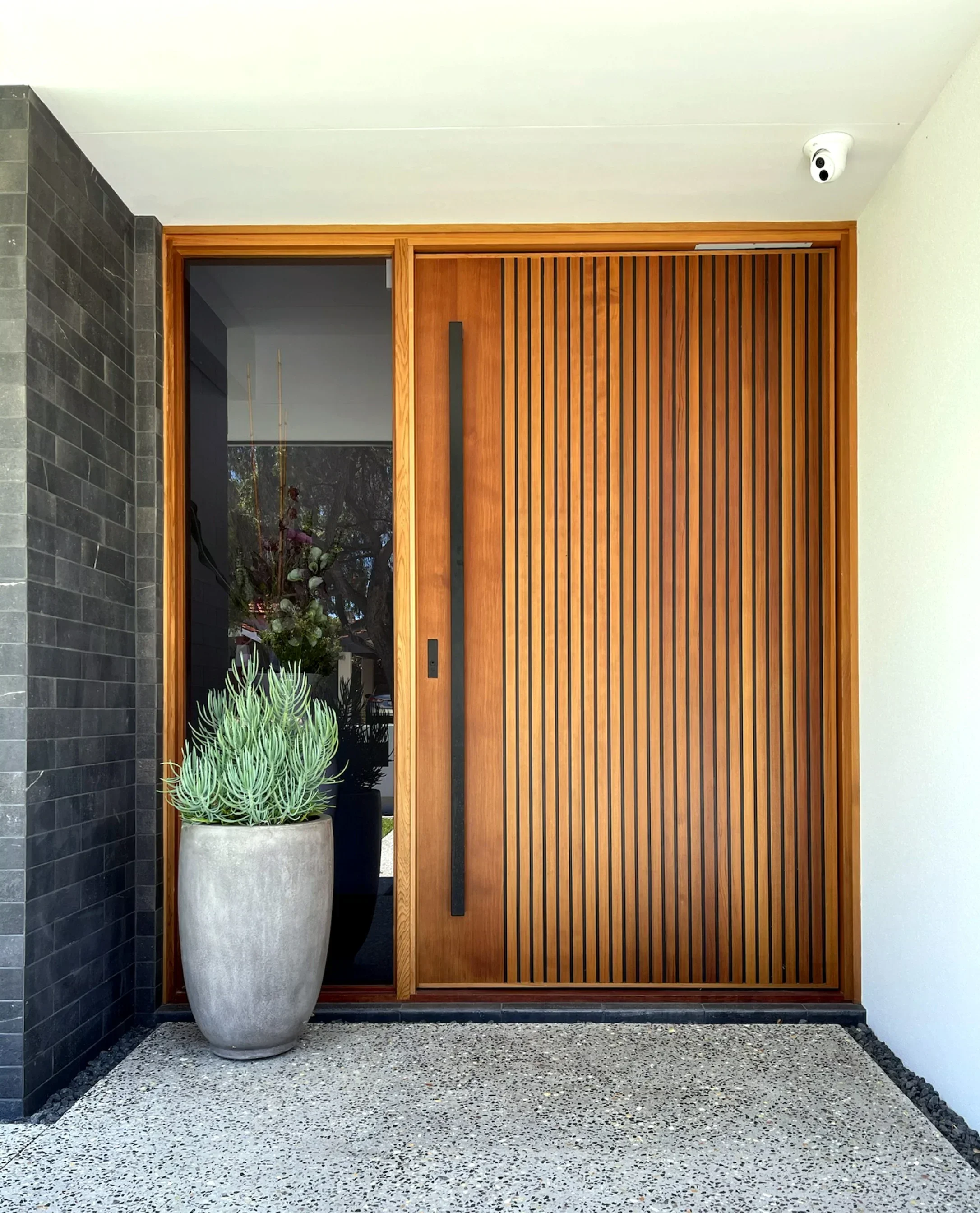Interior Design Organic Modern - -Modern Design Security Entrance Pivot Doors